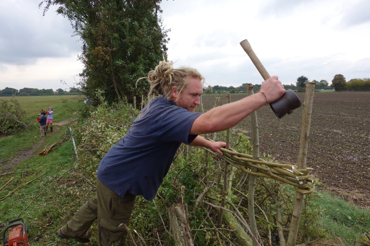 Tim Radford, hedgelayer ([] https://www.wonderwoodwillow.com/hedgelaying-planting)